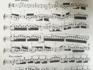 marking a flute part
