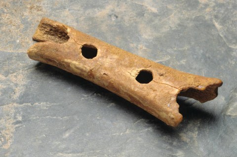 bone flute found in German cave, dated 42,000 years old